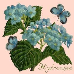 Elizabeth Bradley, Botanical Garden, HYDRANGEA - 16x16 pollici Elizabeth Bradley - 3