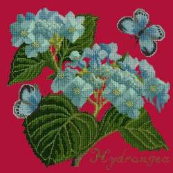 Elizabeth Bradley, Botanical Garden, HYDRANGEA - 16x16 pollici Elizabeth Bradley - 4