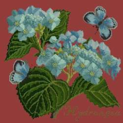 Elizabeth Bradley, Botanical Garden, HYDRANGEA - 16x16 pollici Elizabeth Bradley - 5