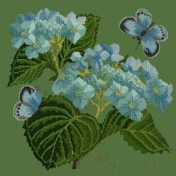 Elizabeth Bradley, Botanical Garden, HYDRANGEA - 16x16 pollici Elizabeth Bradley - 6