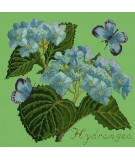 Elizabeth Bradley, Botanical Garden, HYDRANGEA - 16x16 pollici Elizabeth Bradley - 7