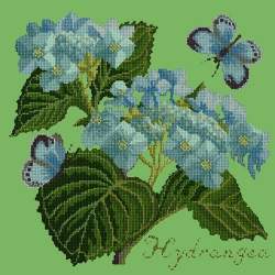 Elizabeth Bradley, Botanical Garden, HYDRANGEA - 16x16 pollici Elizabeth Bradley - 7