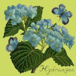 Elizabeth Bradley, Botanical Garden, HYDRANGEA - 16x16 pollici Elizabeth Bradley - 8