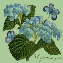 Elizabeth Bradley, Botanical Garden, HYDRANGEA - 16x16 pollici Elizabeth Bradley - 9