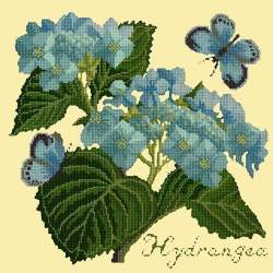 Elizabeth Bradley, Botanical Garden, HYDRANGEA - 16x16 pollici Elizabeth Bradley - 10