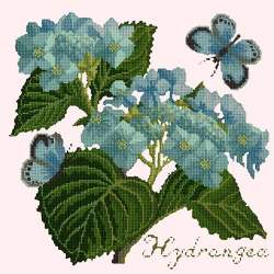 Elizabeth Bradley, Botanical Garden, HYDRANGEA - 16x16 pollici Elizabeth Bradley - 12