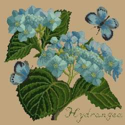 Elizabeth Bradley, Botanical Garden, HYDRANGEA - 16x16 pollici Elizabeth Bradley - 17