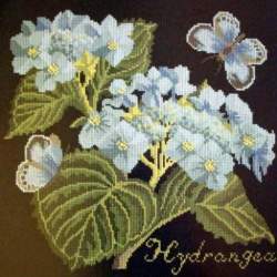 Elizabeth Bradley, Botanical Garden, HYDRANGEA - 16x16 pollici Elizabeth Bradley - 18