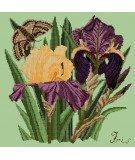 Elizabeth Bradley, Botanical Garden, IRIS - 16x16 pollici Elizabeth Bradley - 9