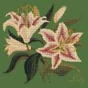 Elizabeth Bradley, Botanical Garden, LILY - 16x16 pollici Elizabeth Bradley - 6