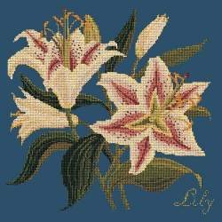 Elizabeth Bradley, Botanical Garden, LILY - 16x16 pollici Elizabeth Bradley - 16