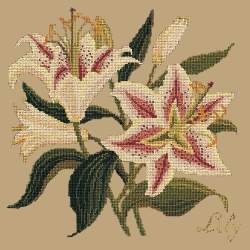 Elizabeth Bradley, Botanical Garden, LILY - 16x16 pollici Elizabeth Bradley - 17