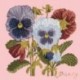 Elizabeth Bradley, Botanical Garden, PANSY - 16x16 pollici Elizabeth Bradley - 2