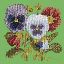 Elizabeth Bradley, Botanical Garden, PANSY - 16x16 pollici Elizabeth Bradley - 7