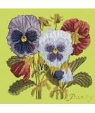 Elizabeth Bradley, Botanical Garden, PANSY - 16x16 pollici Elizabeth Bradley - 8