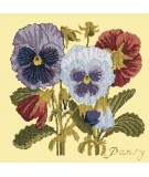 Elizabeth Bradley, Botanical Garden, PANSY - 16x16 pollici Elizabeth Bradley - 10