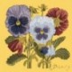 Elizabeth Bradley, Botanical Garden, PANSY - 16x16 pollici Elizabeth Bradley - 11