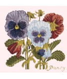 Elizabeth Bradley, Botanical Garden, PANSY - 16x16 pollici Elizabeth Bradley - 12