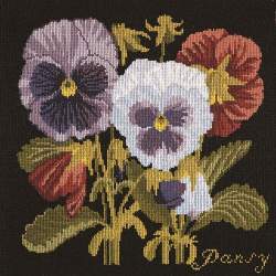 Elizabeth Bradley, Botanical Garden, PANSY - 16x16 pollici Elizabeth Bradley - 18