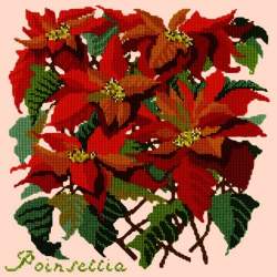 Elizabeth Bradley, Botanical Garden, POINSETTIA - 16x16 pollici Elizabeth Bradley - 3