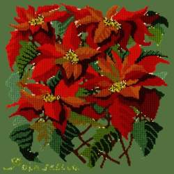 Elizabeth Bradley, Botanical Garden, POINSETTIA - 16x16 pollici Elizabeth Bradley - 6