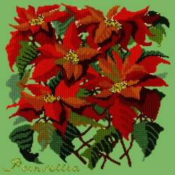 Elizabeth Bradley, Botanical Garden, POINSETTIA - 16x16 pollici Elizabeth Bradley - 7