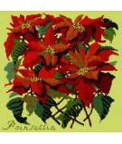 Elizabeth Bradley, Botanical Garden, POINSETTIA - 16x16 pollici Elizabeth Bradley - 8