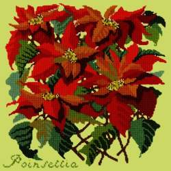 Elizabeth Bradley, Botanical Garden, POINSETTIA - 16x16 pollici Elizabeth Bradley - 8