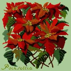 Elizabeth Bradley, Botanical Garden, POINSETTIA - 16x16 pollici Elizabeth Bradley - 9