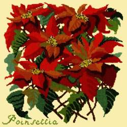 Elizabeth Bradley, Botanical Garden, POINSETTIA - 16x16 pollici Elizabeth Bradley - 10