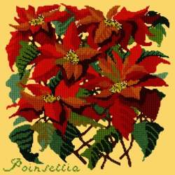 Elizabeth Bradley, Botanical Garden, POINSETTIA - 16x16 pollici Elizabeth Bradley - 11