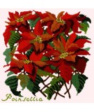 Elizabeth Bradley, Botanical Garden, POINSETTIA - 16x16 pollici Elizabeth Bradley - 12