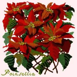 Elizabeth Bradley, Botanical Garden, POINSETTIA - 16x16 pollici Elizabeth Bradley - 12