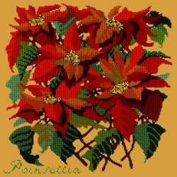 Elizabeth Bradley, Botanical Garden, POINSETTIA - 16x16 pollici Elizabeth Bradley - 13