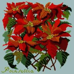 Elizabeth Bradley, Botanical Garden, POINSETTIA - 16x16 pollici Elizabeth Bradley - 14