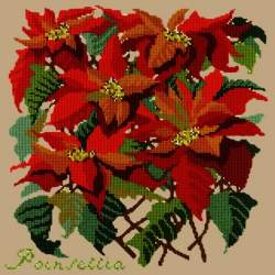 Elizabeth Bradley, Botanical Garden, POINSETTIA - 16x16 pollici Elizabeth Bradley - 17