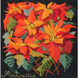 Elizabeth Bradley, Botanical Garden, POINSETTIA - 16x16 pollici Elizabeth Bradley - 18