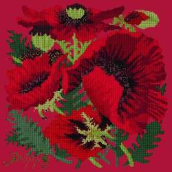 Elizabeth Bradley, Botanical Garden, RED POPPY - 16x16 pollici Elizabeth Bradley - 4