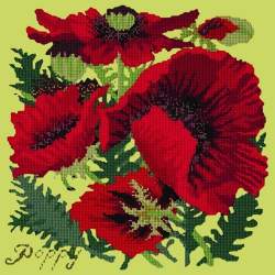 Elizabeth Bradley, Botanical Garden, RED POPPY - 16x16 pollici Elizabeth Bradley - 8