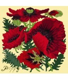 Elizabeth Bradley, Botanical Garden, RED POPPY - 16x16 pollici Elizabeth Bradley - 10