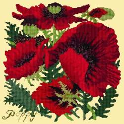 Elizabeth Bradley, Botanical Garden, RED POPPY - 16x16 pollici Elizabeth Bradley - 10