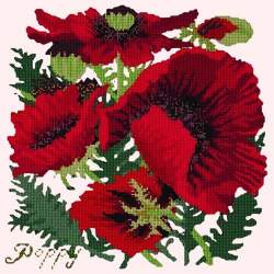 Elizabeth Bradley, Botanical Garden, RED POPPY - 16x16 pollici Elizabeth Bradley - 12