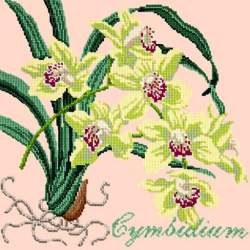 Elizabeth Bradley, Exotics, CYMBIDIUM ORCHID - 16x16 pollici Elizabeth Bradley - 3