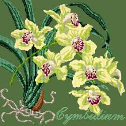 Elizabeth Bradley, Exotics, CYMBIDIUM ORCHID - 16x16 pollici Elizabeth Bradley - 6