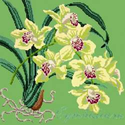 Elizabeth Bradley, Exotics, CYMBIDIUM ORCHID - 16x16 pollici Elizabeth Bradley - 7