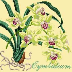 Elizabeth Bradley, Exotics, CYMBIDIUM ORCHID - 16x16 pollici Elizabeth Bradley - 10