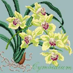 Elizabeth Bradley, Exotics, CYMBIDIUM ORCHID - 16x16 pollici Elizabeth Bradley - 14