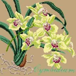 Elizabeth Bradley, Exotics, CYMBIDIUM ORCHID - 16x16 pollici Elizabeth Bradley - 17