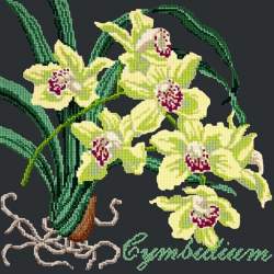 Elizabeth Bradley, Exotics, CYMBIDIUM ORCHID - 16x16 pollici Elizabeth Bradley - 18