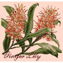 Elizabeth Bradley, Exotics, GINGER LILY - 16x16 pollici Elizabeth Bradley - 3